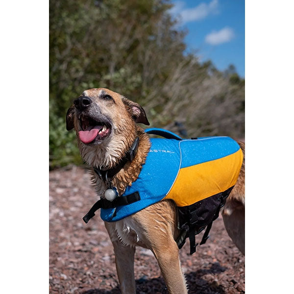 Astral BirdDog PFD
