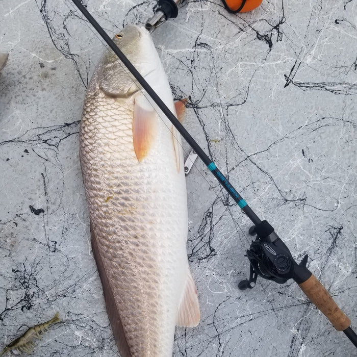 KISTLER Salt Series Fishing Rods