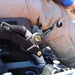 YakAttack Single Attachment Clip-On Retractor