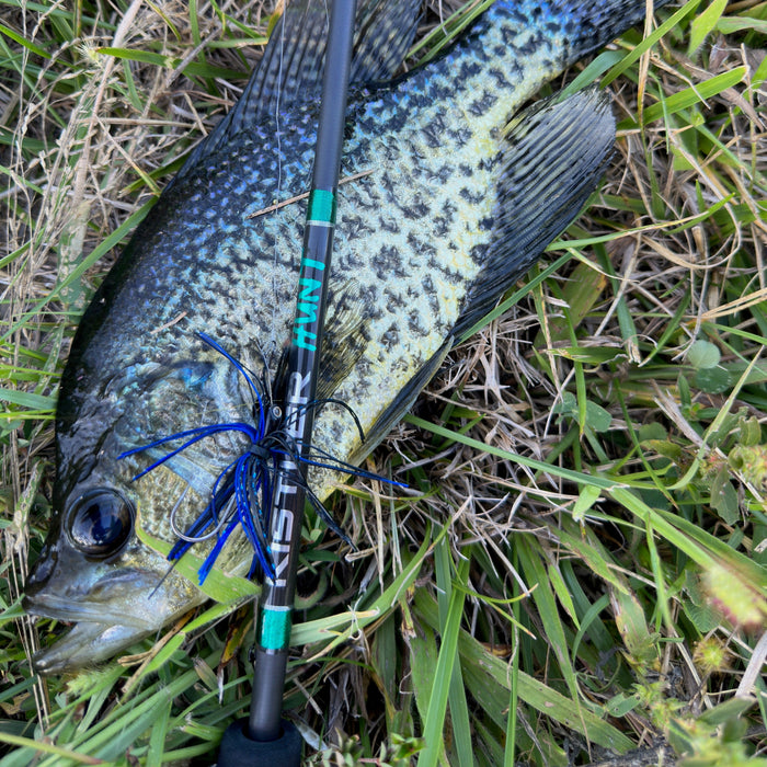 KISTLER Hunt BFS Fishing Rod
