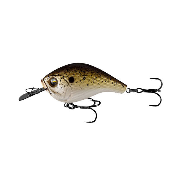 レイクポーチャー　B 13 Fishing Jabber Jaw Hybrid Squarebill Crankbait - Angler's