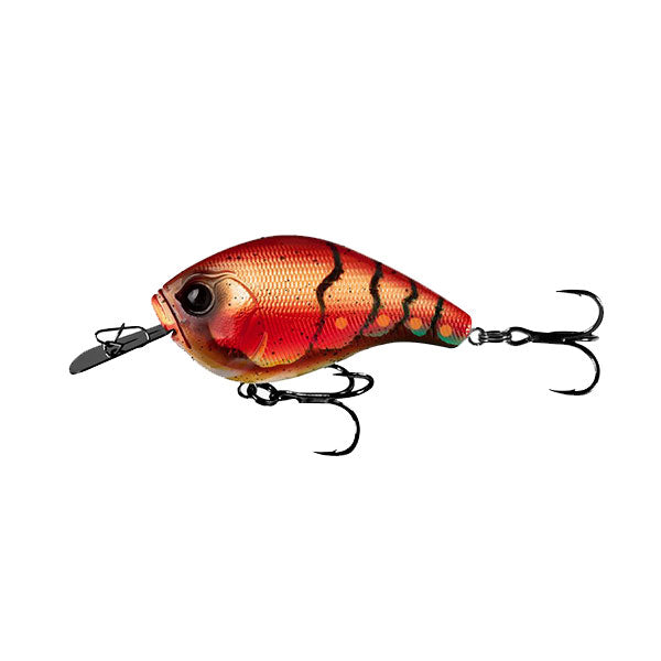 2.3 in. Jabber Jaw-Hybrid Squarebill Lures, Citrus Shad, Other