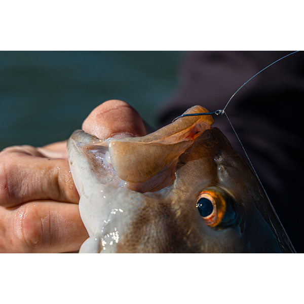 6th Sense Drop Shot Hooks — Eco Fishing Shop 6th Sense Drop Shot Hooks — Eco Fishing Shop