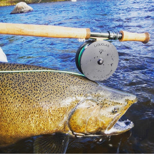 douglas argus rex fly reel Douglas Argus Rex Fly Reel — Eco Fishing Shop